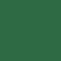 Color of #2E6A44