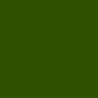 Color of #305100