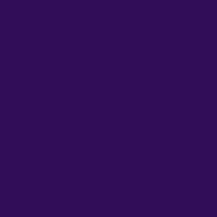 Color of #310D58