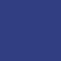 Color of #313E81