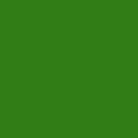 Color of #317D16