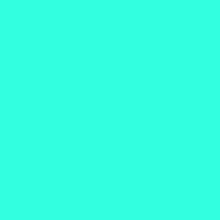 Color of #32FFE0