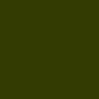 Color of #333B02