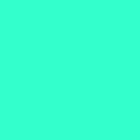 Color of #33FFCC