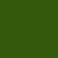 Color of #34590C