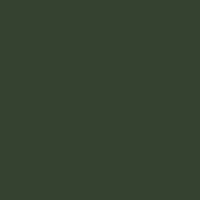 Color of rifle green