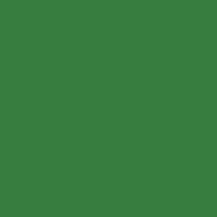 Color of #367D3F