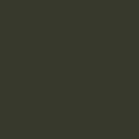 Color of #37392C