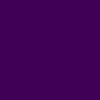 Color of #3F0056