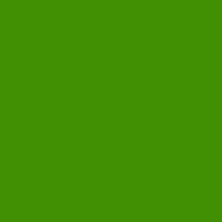 Color of #408F00