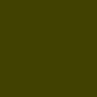 Color of #424200