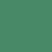 Color of #488967