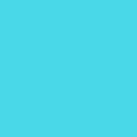 Color of #49D8E8