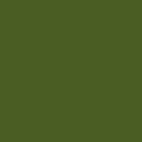 Color of dark moss green