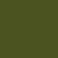 Color of army green