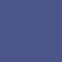 Color of #4C568A