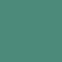 Color of #4C8A7A