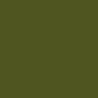 Color of #4F5520