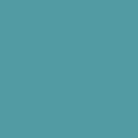 Color of #529BA3