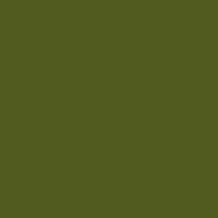 Color of #535A1F