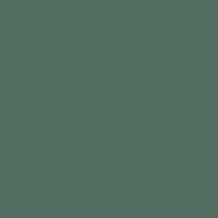 Color of #536E60