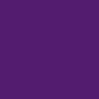 Color of #551C6D