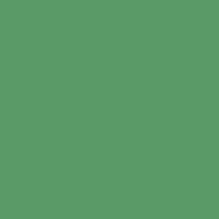 Color of #5A9A67