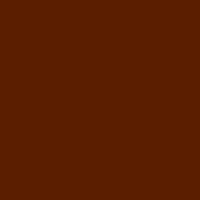 Color of #5B1E00