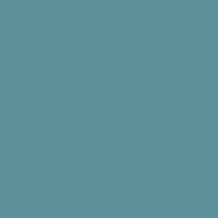 Color of #5B909A