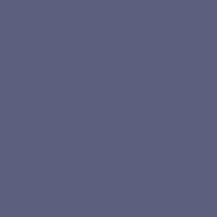 Color of #5D5F7E