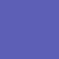 Color of #5D5FB6