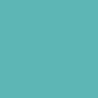 Color of #5DB6B5