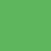 Color of #5EB65D