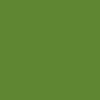 Color of #5F8632