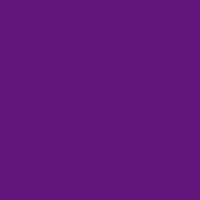 Color of #60167C