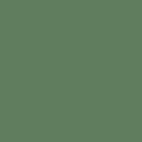 Color of #607E5D