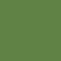 Color of #608245