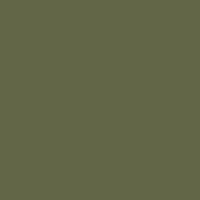 Color of #626647