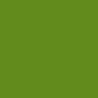 Color of #628B1C