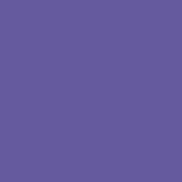 Color of #655A9A