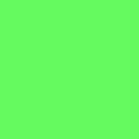 Color of #65FA5F