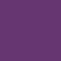 Color of #663671