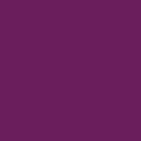 Color of #6A1E5B