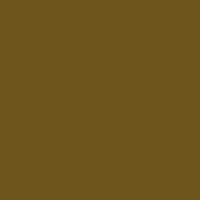 Color of #6D551C