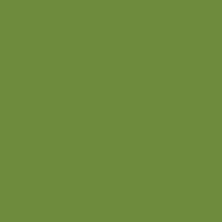 Color of khaki green
