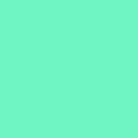 Color of #6FF5C4