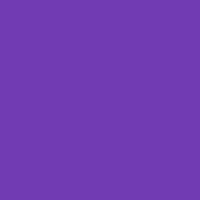 Color of #713BB3