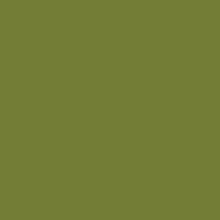 Color of #737D36