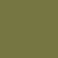 Color of #767642