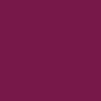 Color of #771849